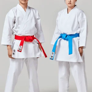 KARATEGUI BÁSICO INICIACIÓN