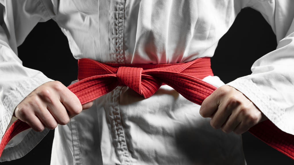 karate normas