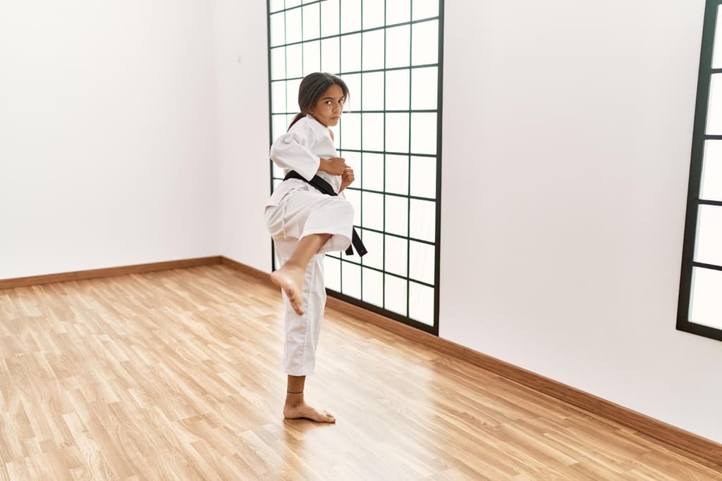reglas del karate